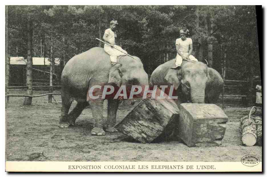 CPA Paris Exposition Coloniale Les Elephants De L inde 