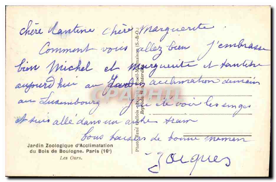 CPA Jardin Zoologique d Acclimatation Du Bois de Boulogne Paris Les ours — Rückseite