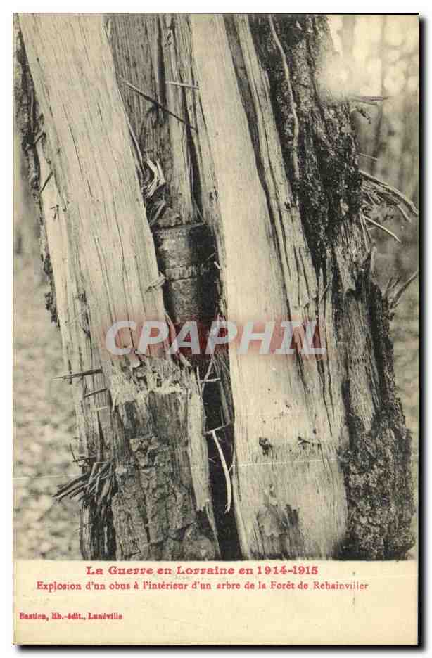 Explosion d'un obus à l'intérieur d'un arbre de la Forêt de Rehainviller — La Guerre en Lorraine en 1914-1915 — Bastien, Rh.-édit., Lunéville