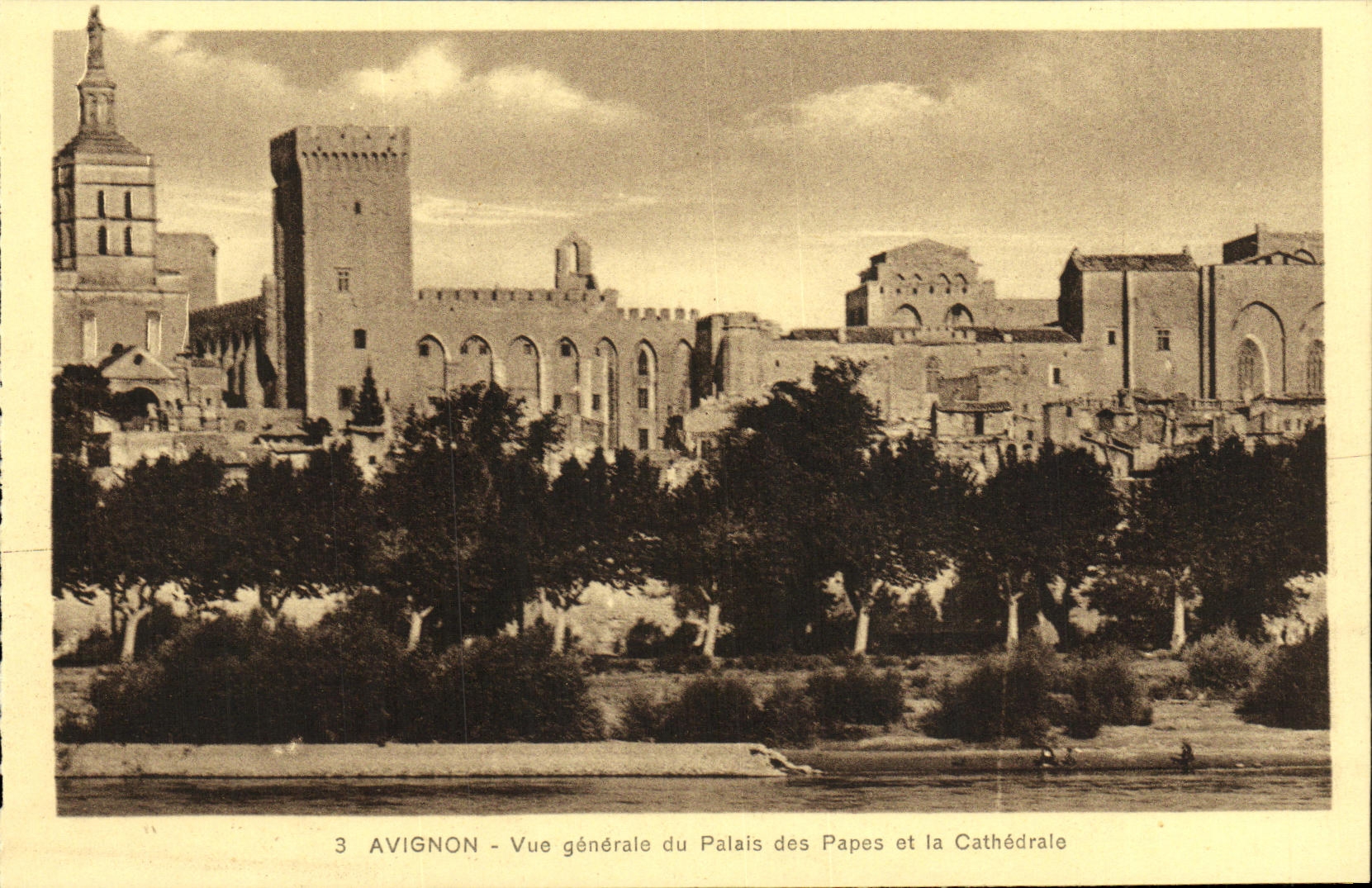 CPA Avignon Vue Generale du Palais des Papes et La Cathedrale