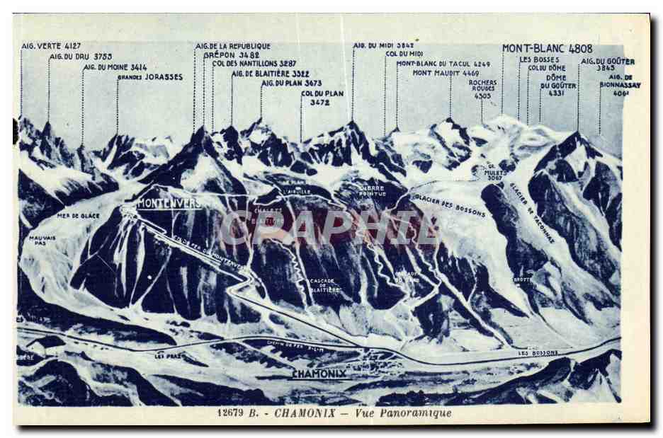 CPA Chamonix Vue Panoramique