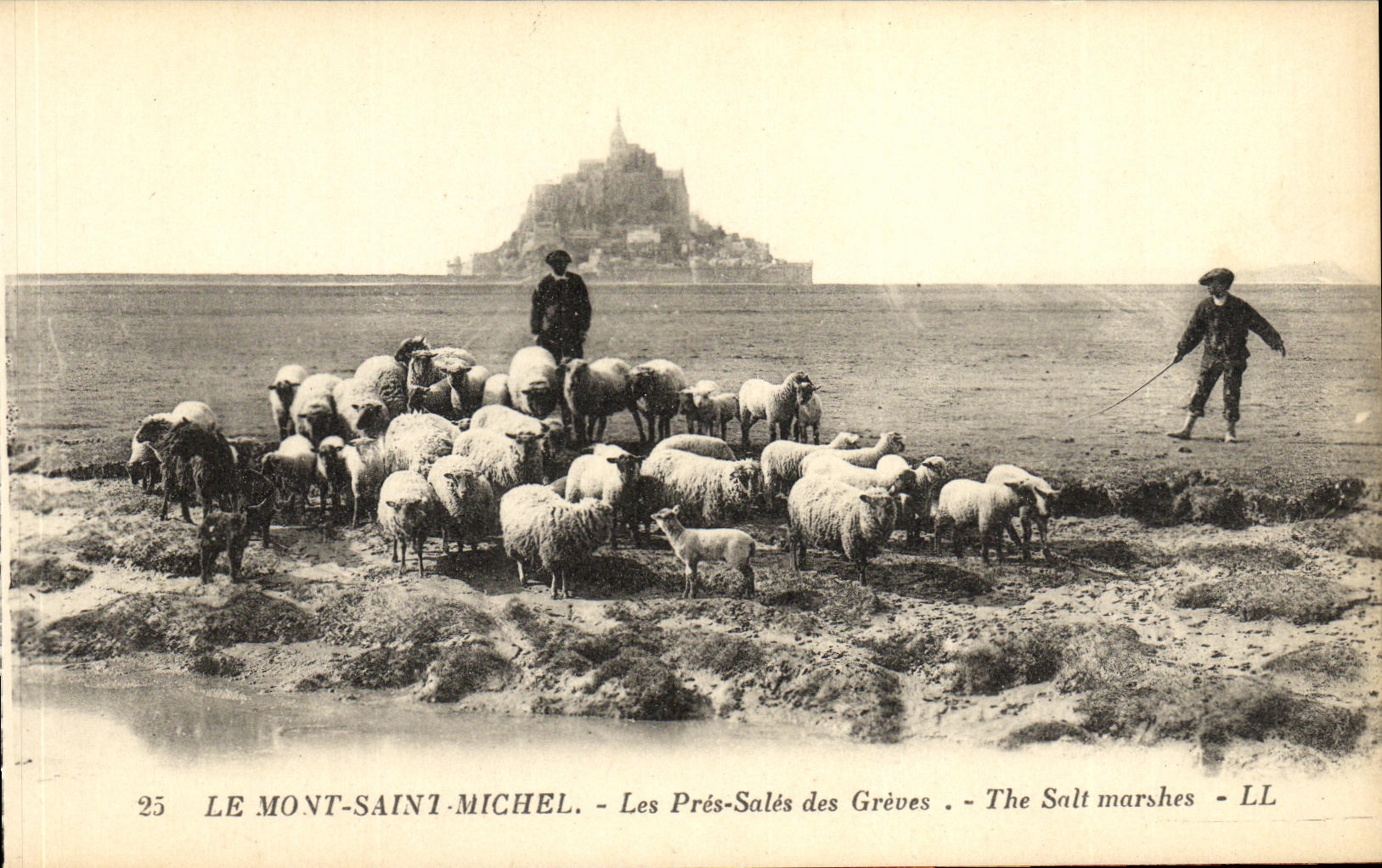 Le Mont-Saint-Michel — Les Prés-Salés des Grèves — LL