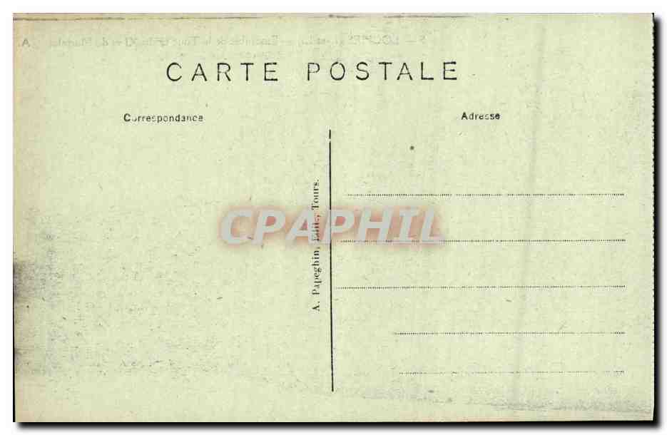 CPA Loches Chateau Royal Le Marronnier Plante par Francois 1er Arbre — Rückseite