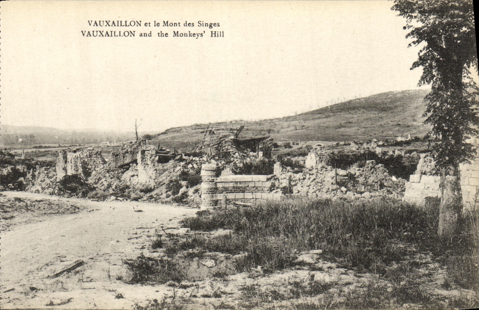 Vauxaillon et le Mont des Singes — ruines et paysage — B. Nougard et H. Leirat, Vauxaillon
