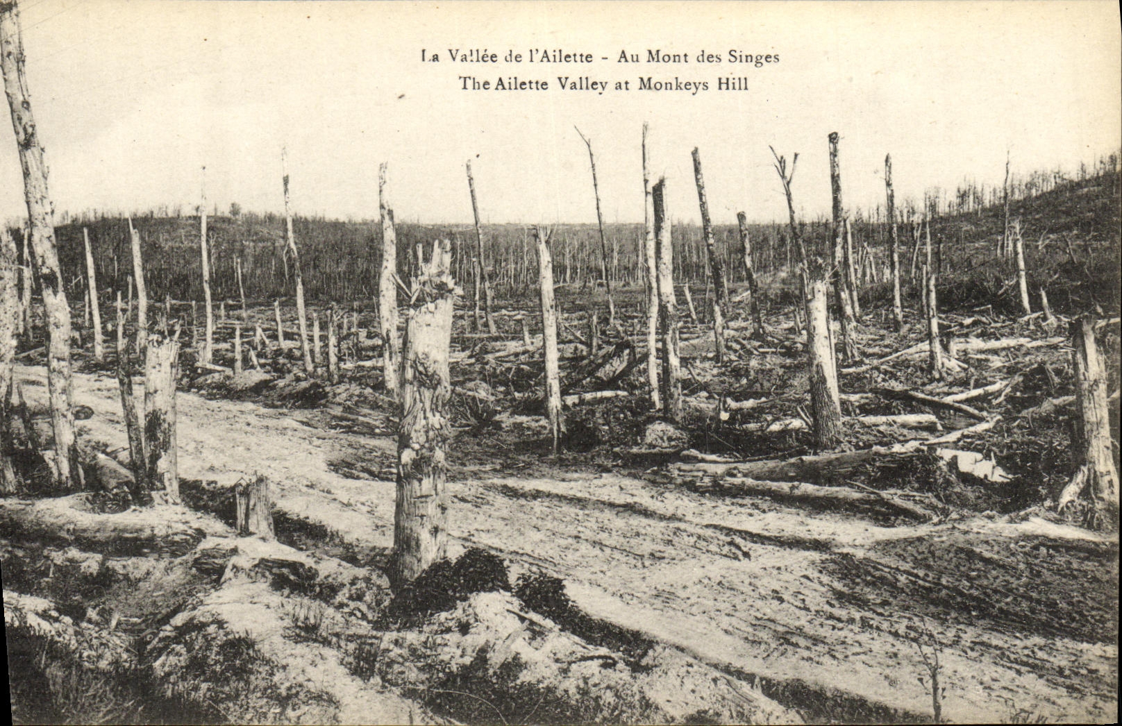La Vallée de l'Ailette - Au Mont des Singes — B. Nougardade et H. Lastral, S. Sauquais