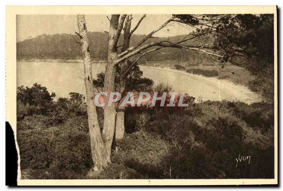 CPA Les Iles D Hyeres Porquerolles La Grande Plage