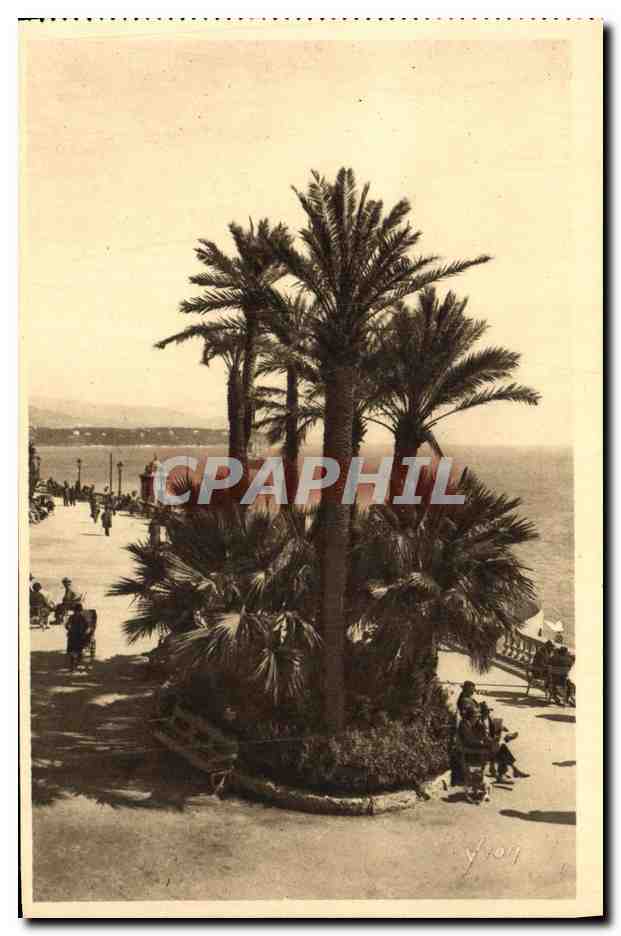CPA Cote D Azur Monte Carlo Terrasse du Casino et Cap Martin