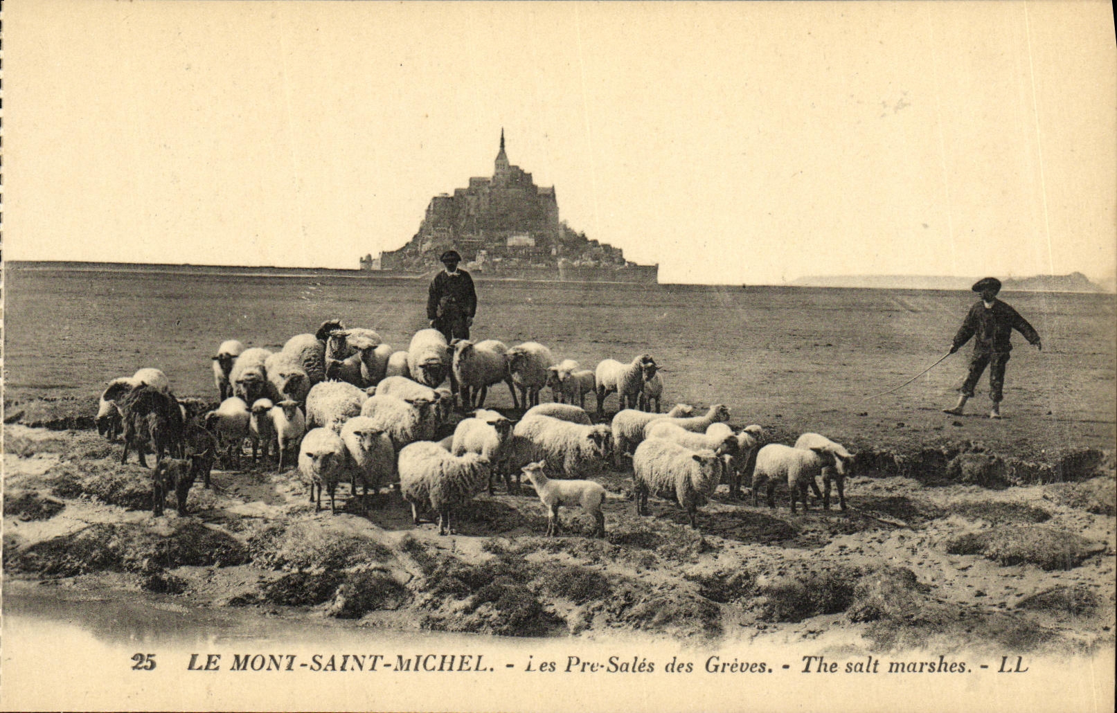 CPA Le Mont Saint Michel Les Pres Sales des Greves Berger Moutons 
