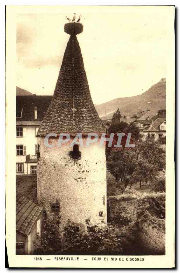 CPA Ribeauville Tour Et Nid De Clgognes