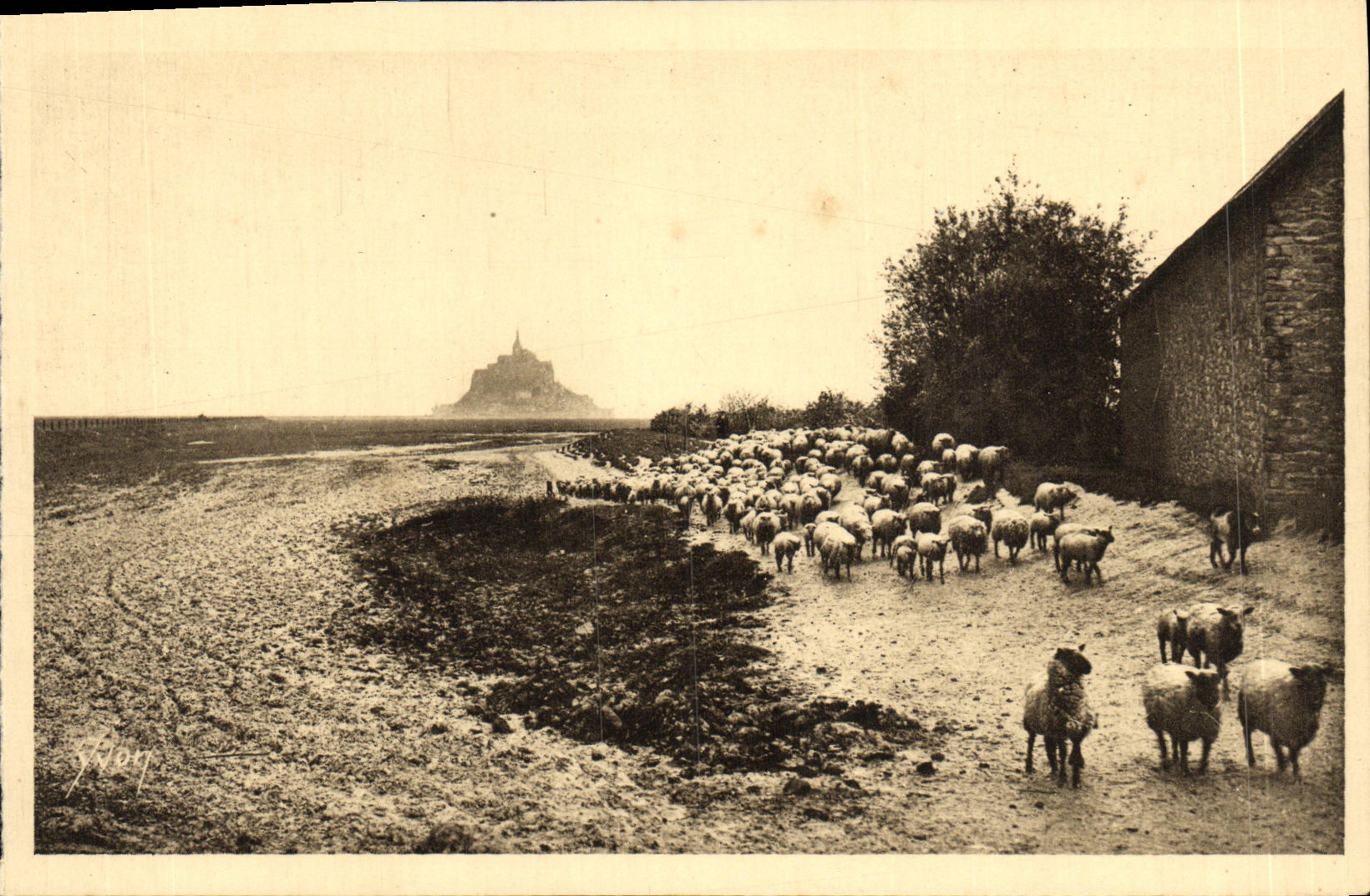 Mont-Saint-Michel — Retour du pâturage — Éditeur : La Douce France