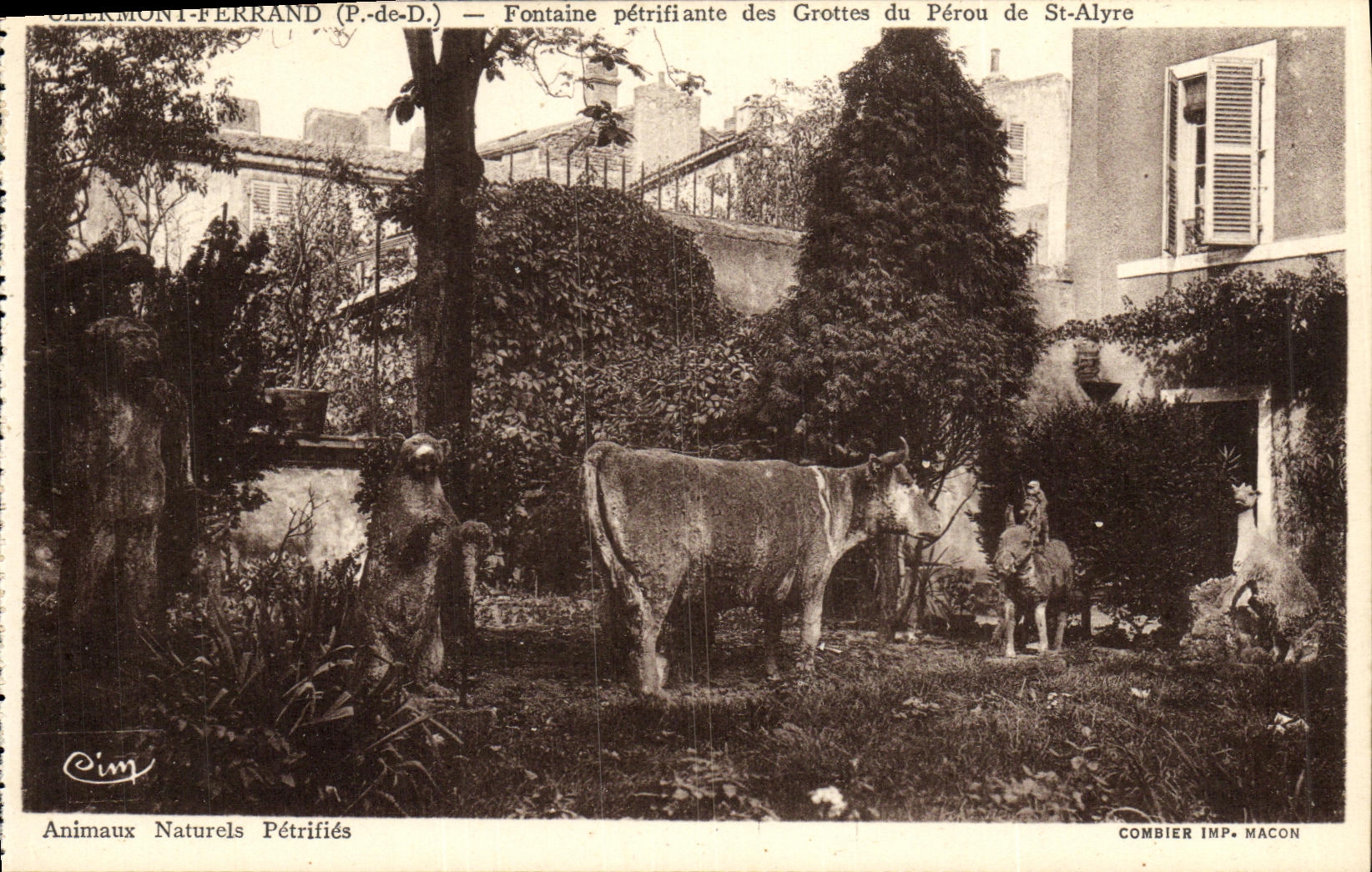 Clermont-Ferrand (P.-de-D.) — Fontaine pétrifiante des Grottes du Pérôu de St-Alyre — Animaux Naturels Pétrifiés — Combier Imp. Macon