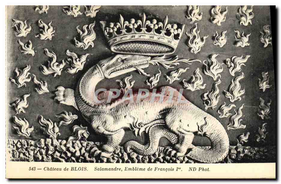 CPA Blois Chateau de Salamandre Embleme de Francois 1er