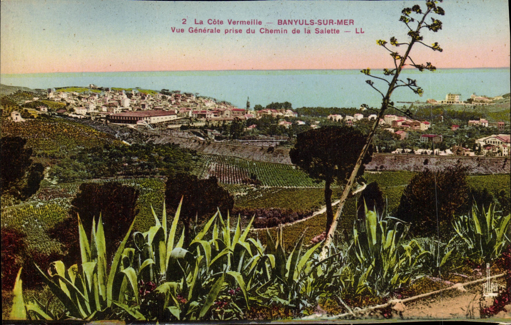 CPA Banyuls Sur Mer Vue Generale Prise du Chemin de la Salette