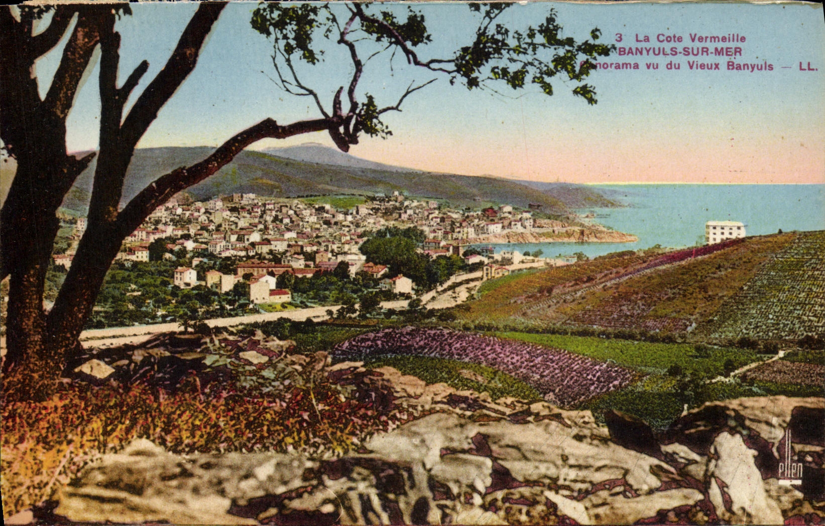 CPA Banyuls Sur Mer Panorama vu du vieux Banyuls