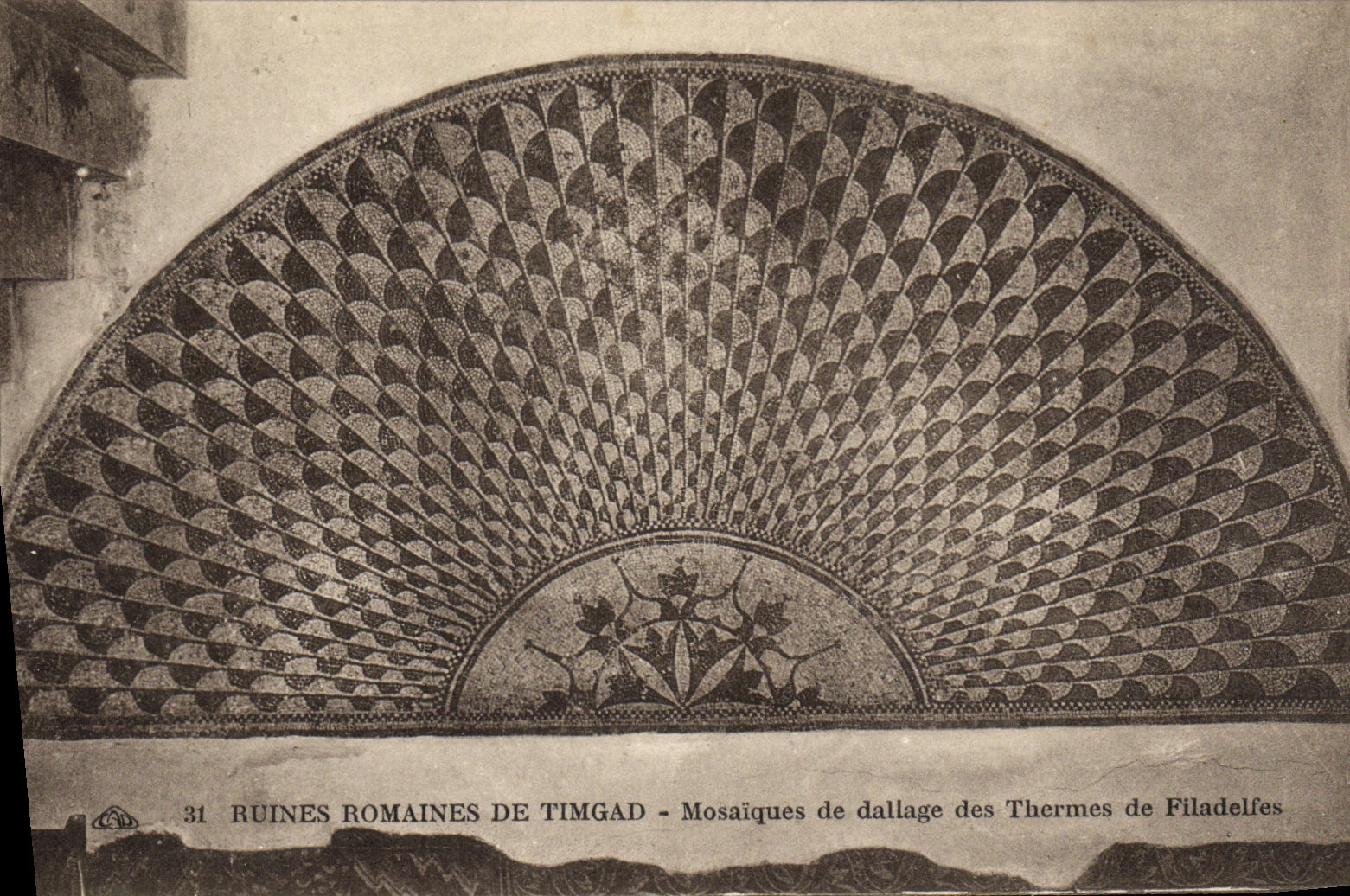 CPA Ruines Romaines De Timgad Mosaique de Dallage des Thermes