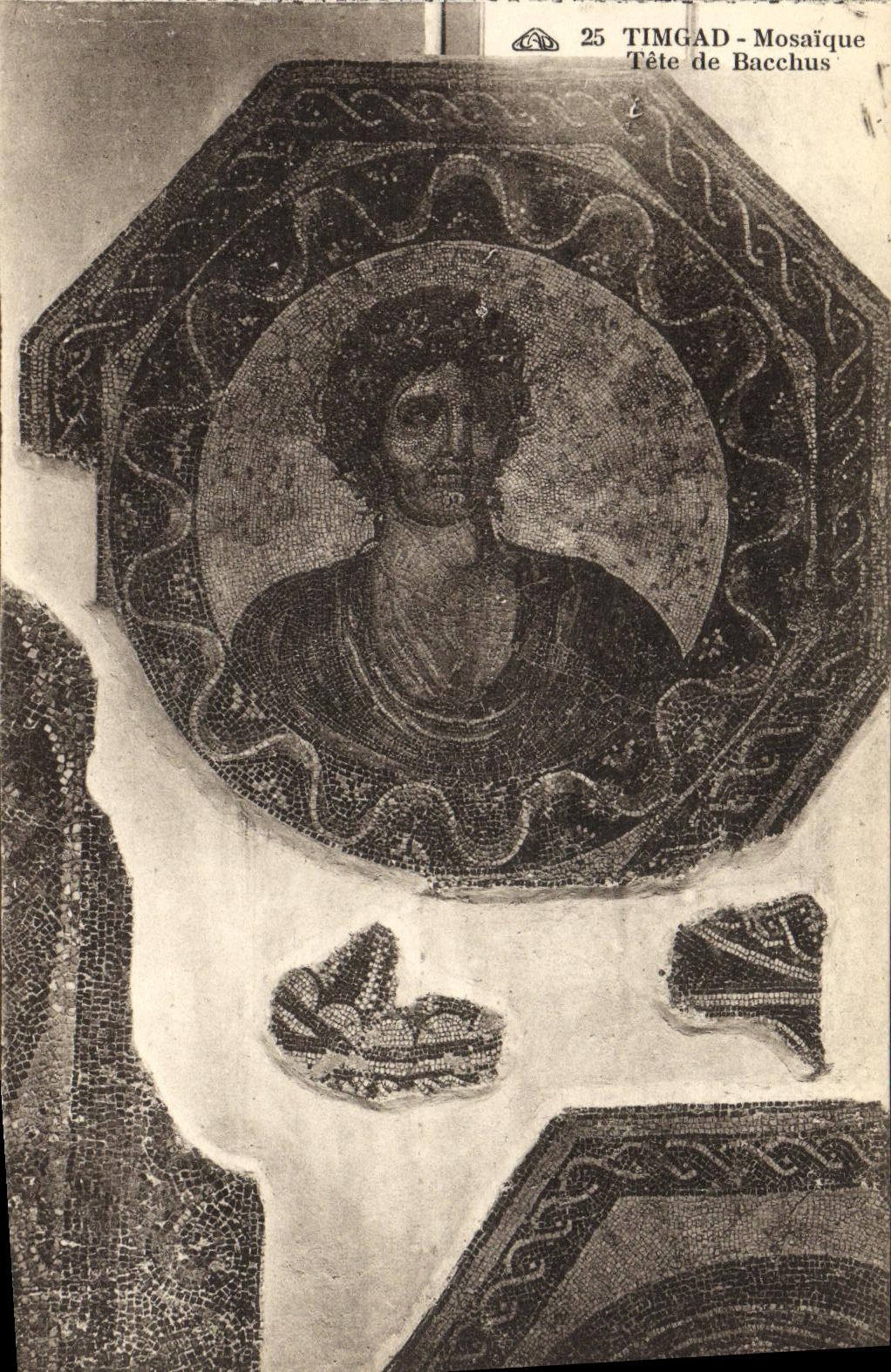 Timimad - Mosaïque Tête de Bacchus — Collection des Arts Photographiques, Strasbourg