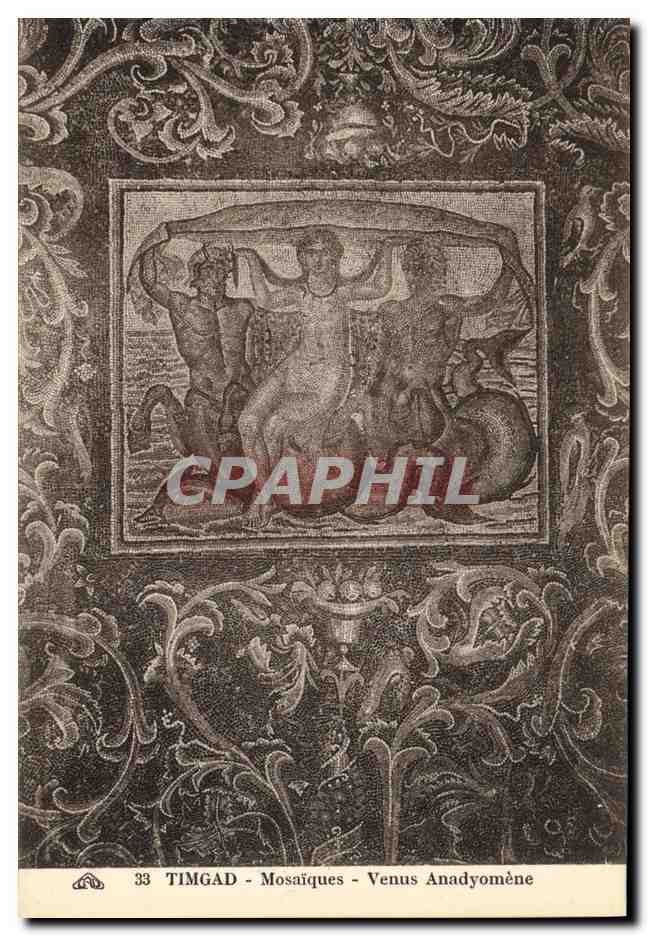 CPA Ruines Romaines De Timgad Mosaique Venus Anadyomene