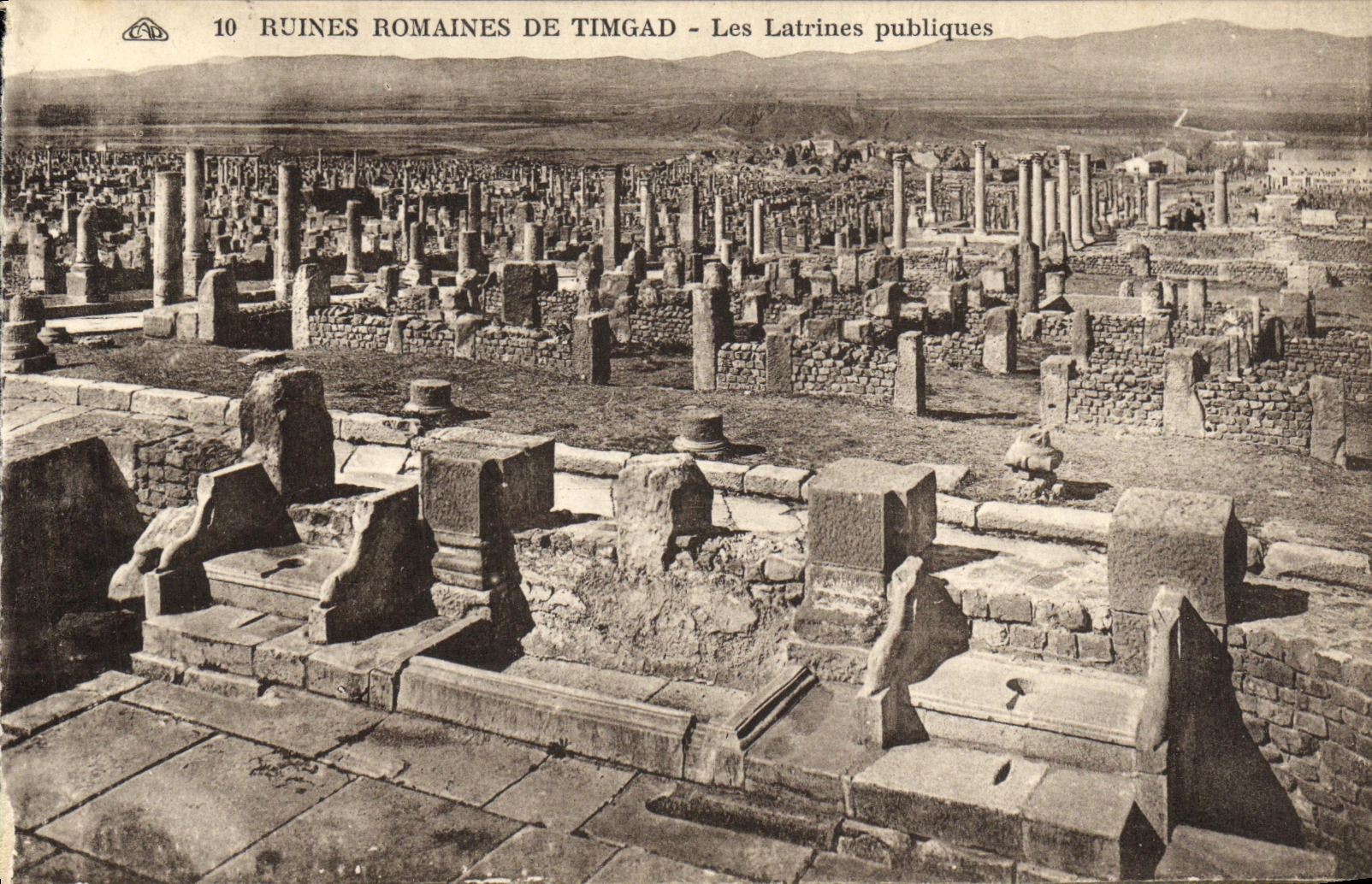 CPA Ruines Romaines De Timgad Les Latrines Publiques