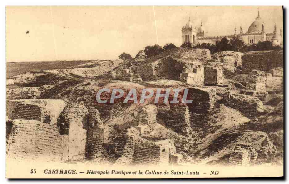 CPA Carthage Necropole Punique et la Colline de Sainte Louis