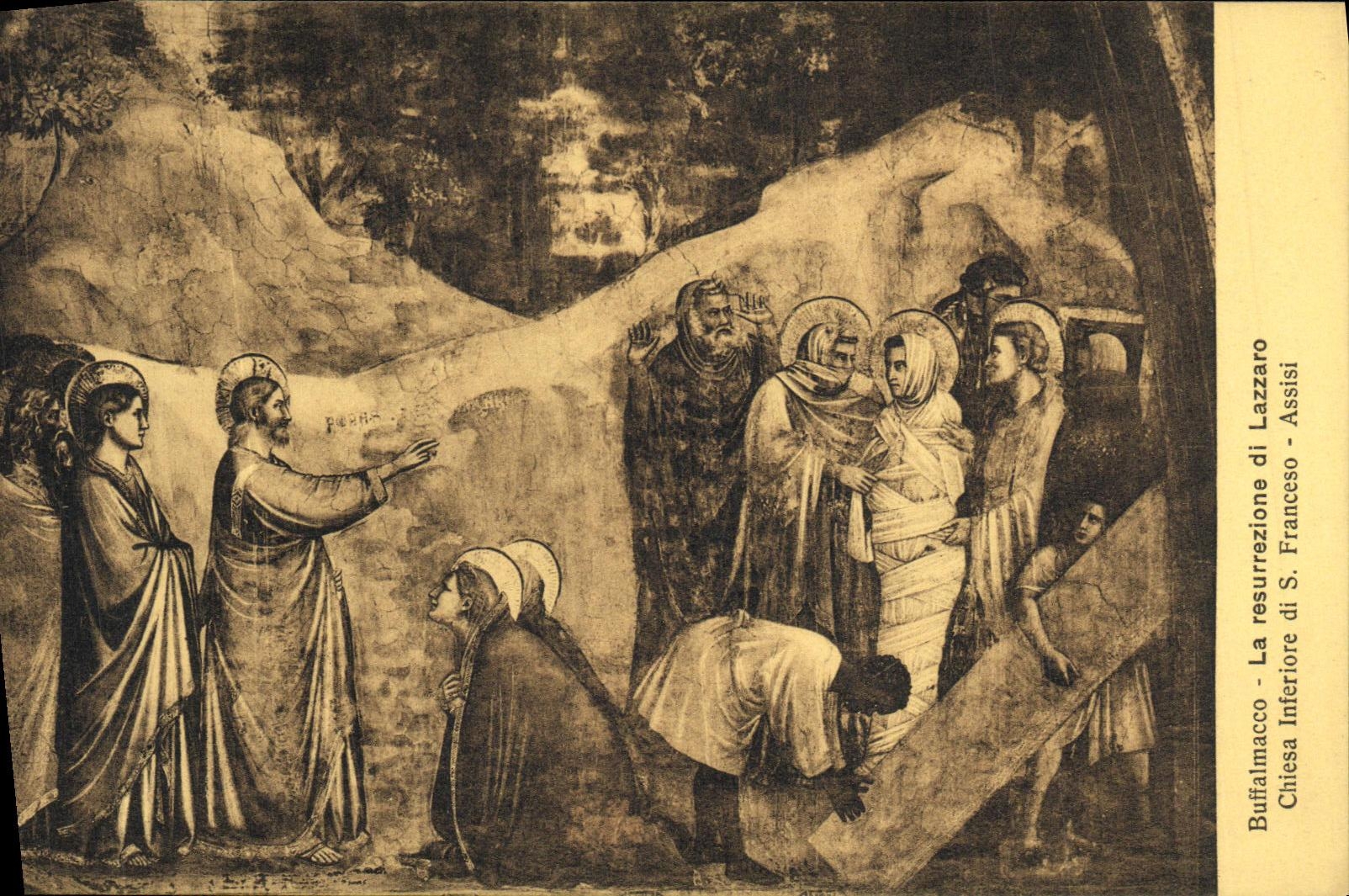 CPA Francesco Assisi Buffalmacco La resurrezione di Lazzaro Chiesa Inferiore