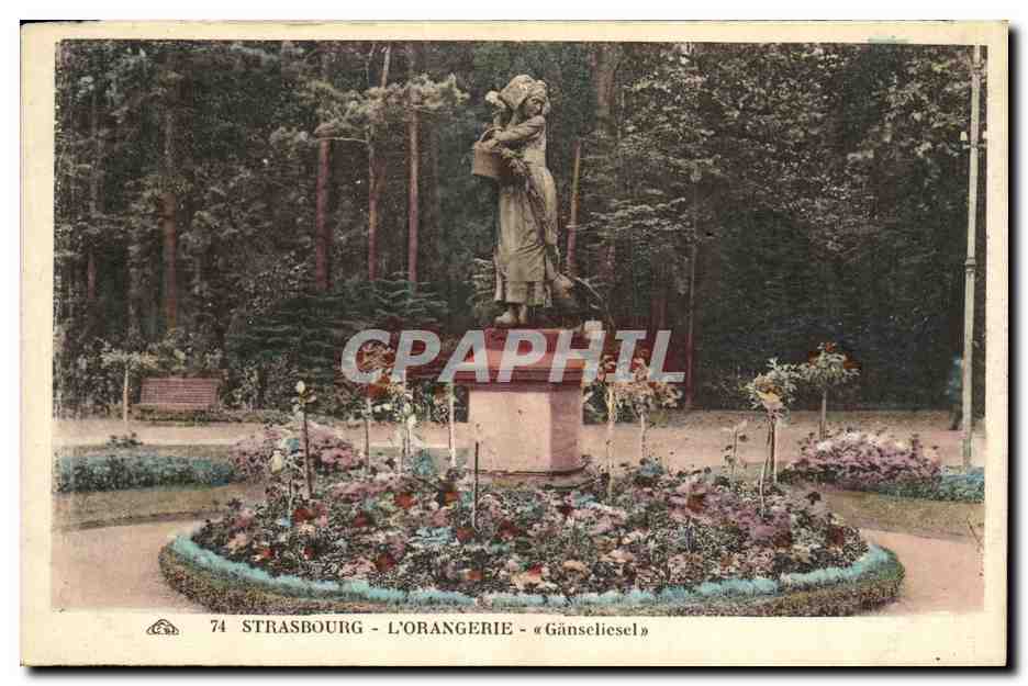 CPA Strassburg L Orangerie 