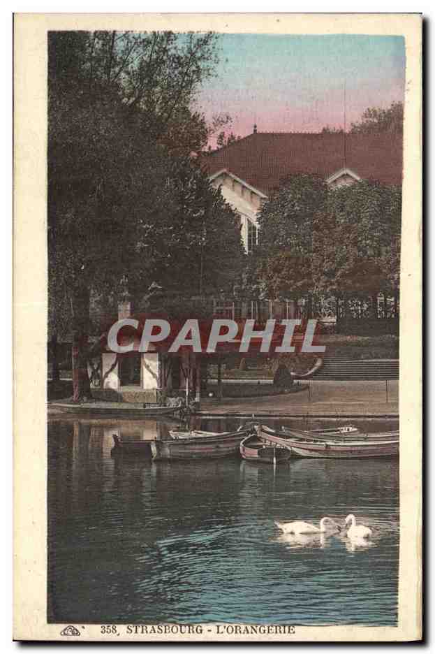 CPA Strasbourg L Orangerie Cygnes