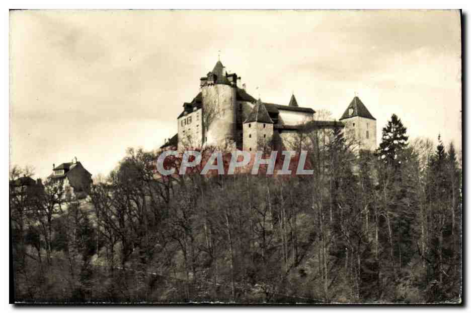 CPA Chateau de Gruyeres