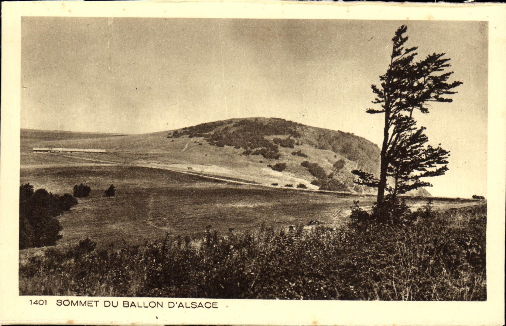 Sommet du Ballon d'Alsace — vue panoramique — série 1401, édit. Braun & Cie, Mulhouse-Dornach