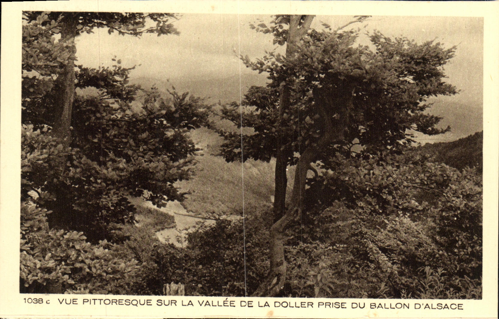 Vue pittoresque sur la vallée de la Doller prise du Ballon d'Alsace — 1038c — Collection P. Mance