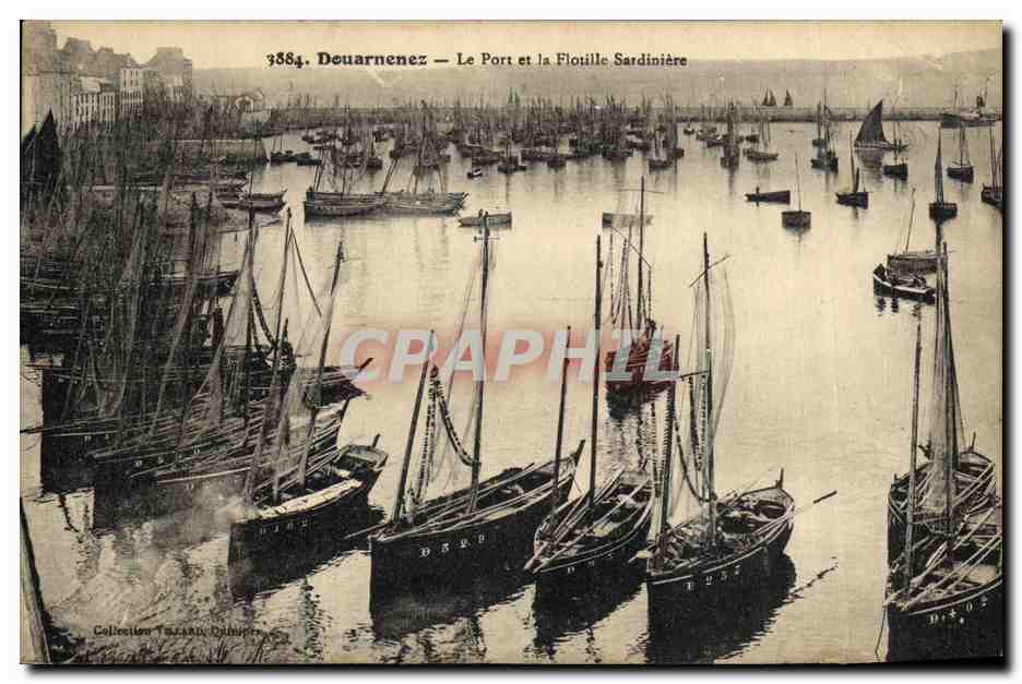 CPA Douarnenez Le Port et la Flotille sardiniere Bateaux