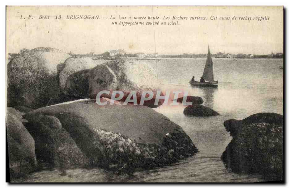 CPA Brignogan La Baie a Maree Les rochers curieux Hippopotame