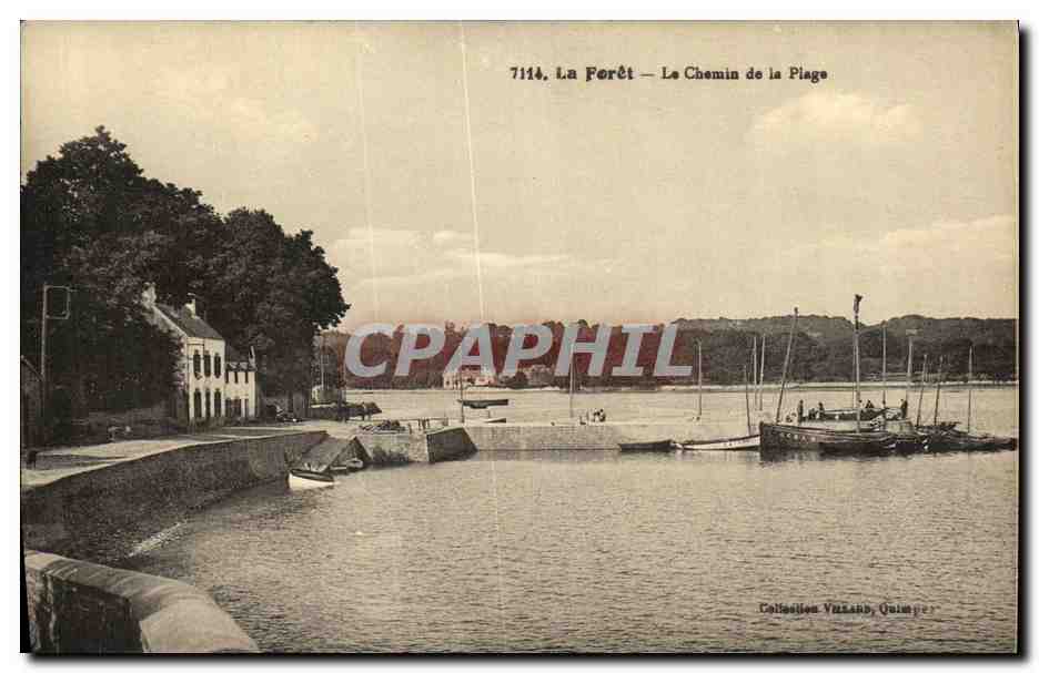 CPA La Foret La Chemin de la plage