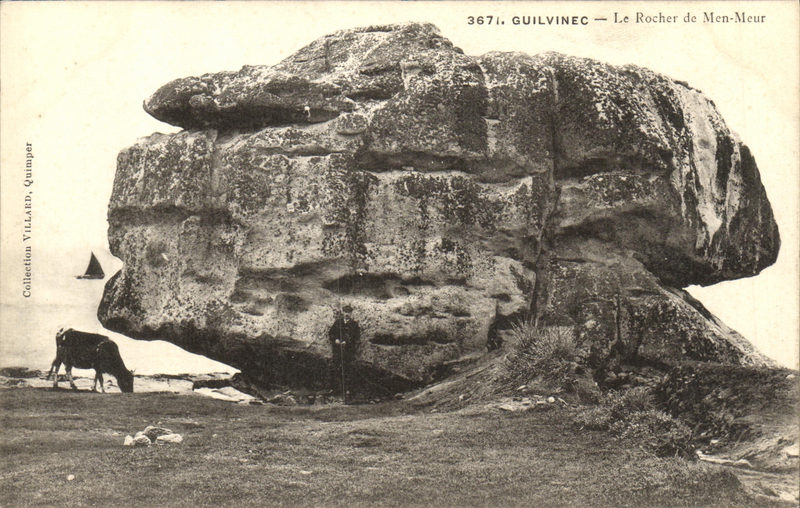 CPA Guilvinec Le Rocher de Men Meur Vaches