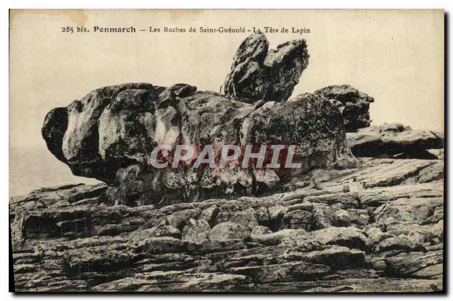 CPA Penmarch Les Roches de Saint Guenole La Tete de Lapin
