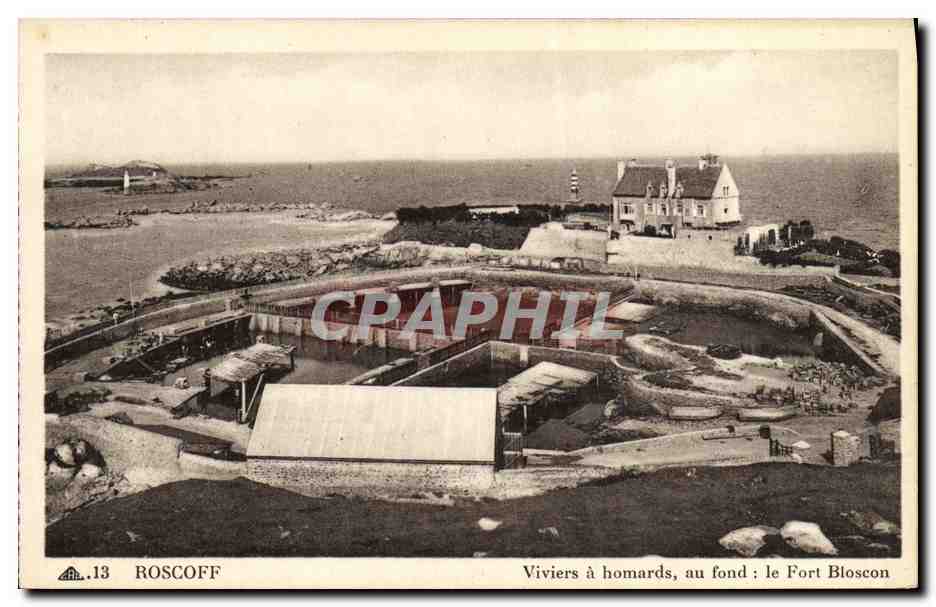 CPA Roscoff Viviers a homards au fond le fort Bloscon 