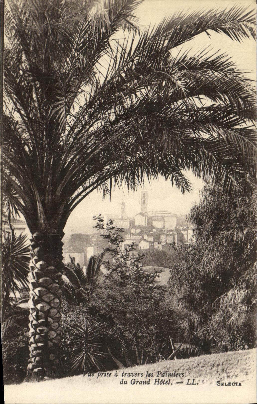CPA Grasse Vue prise a travers les palmier du Grand Hotel