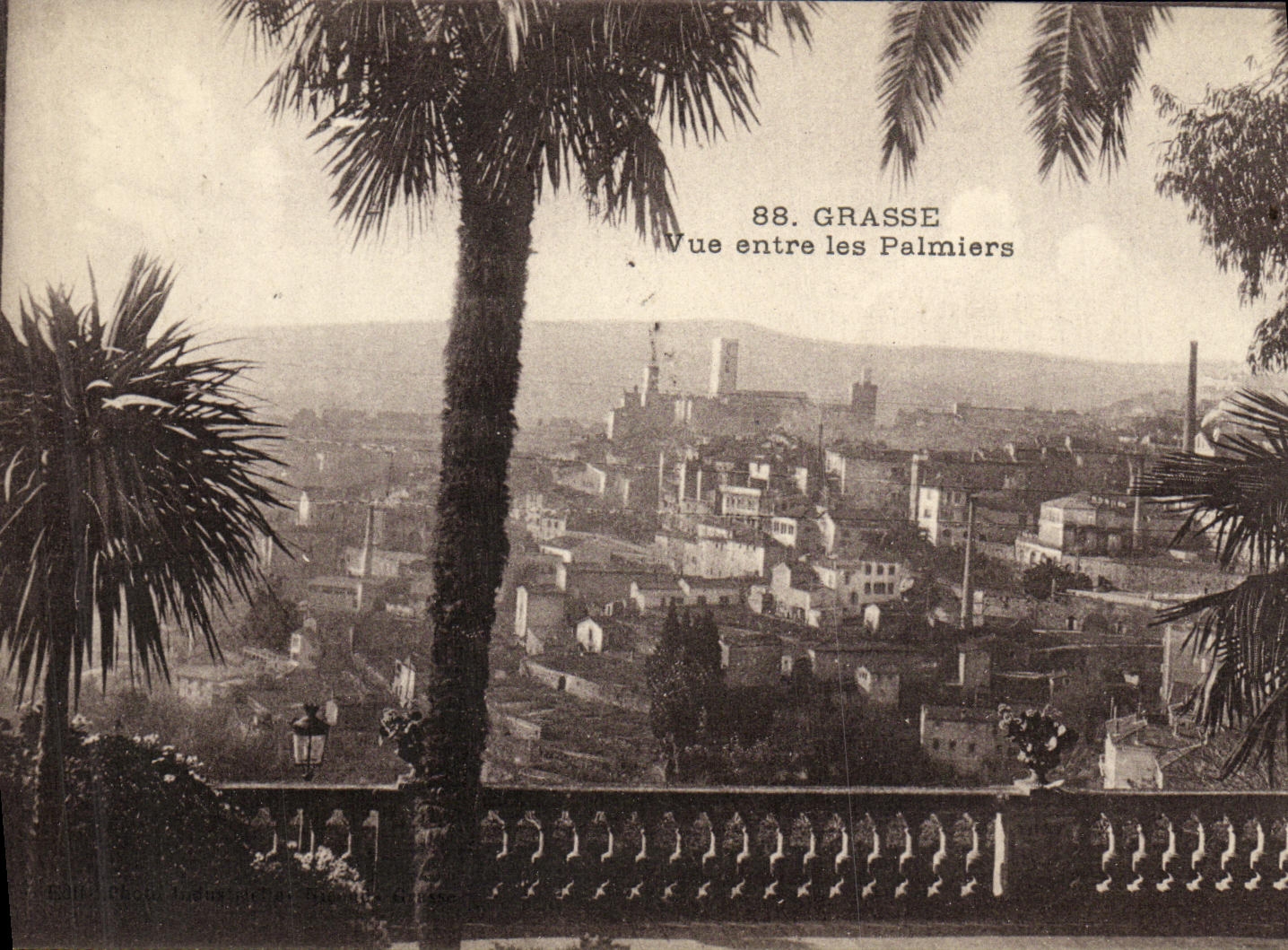 CPA Grasse Vue Entre les Palmiers