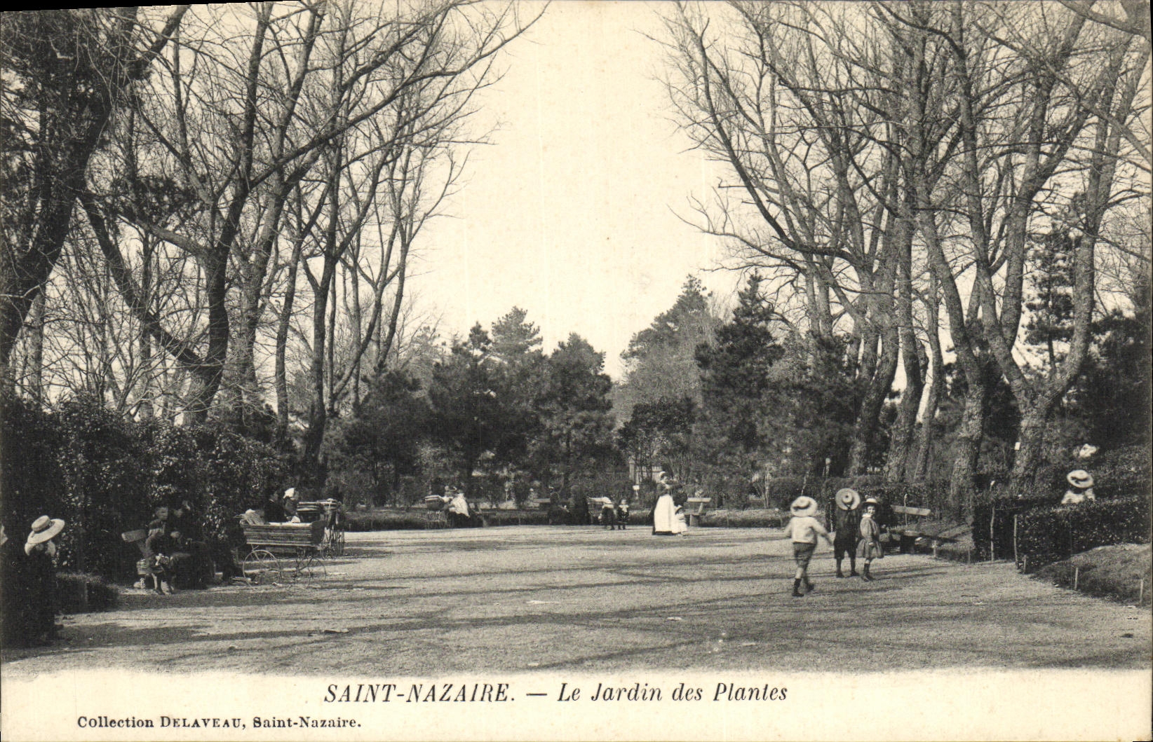 CPA St Nazaire Le jardin des plantes