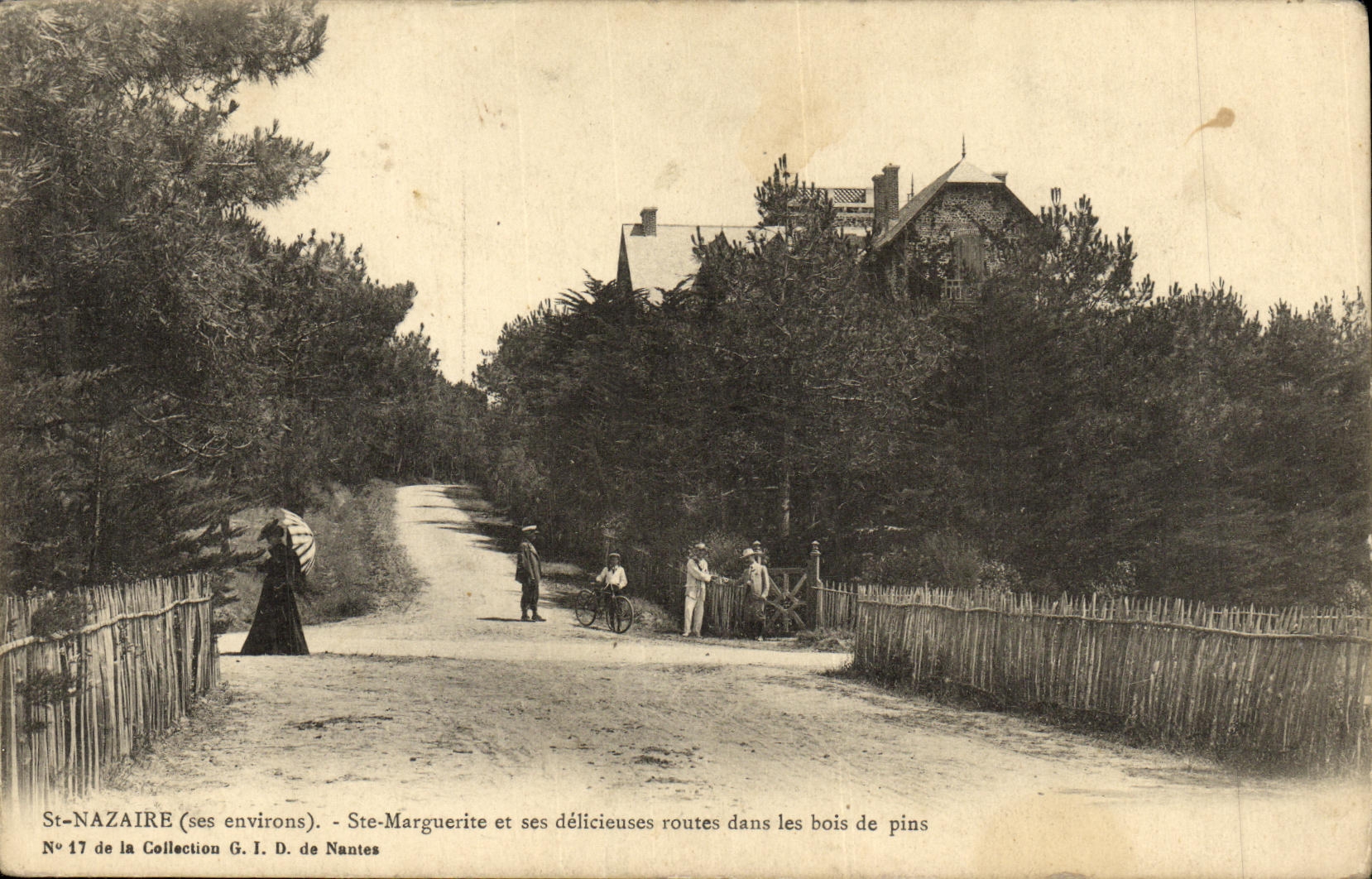 CPA St Nazaire Ste Marguerite et ses delicieuses routes dans les bois de pins 