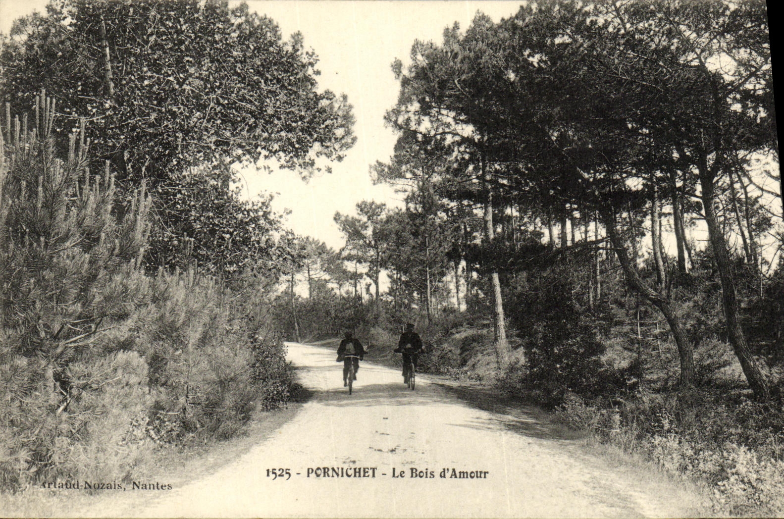 CPA Pornichet Le Bois d amour