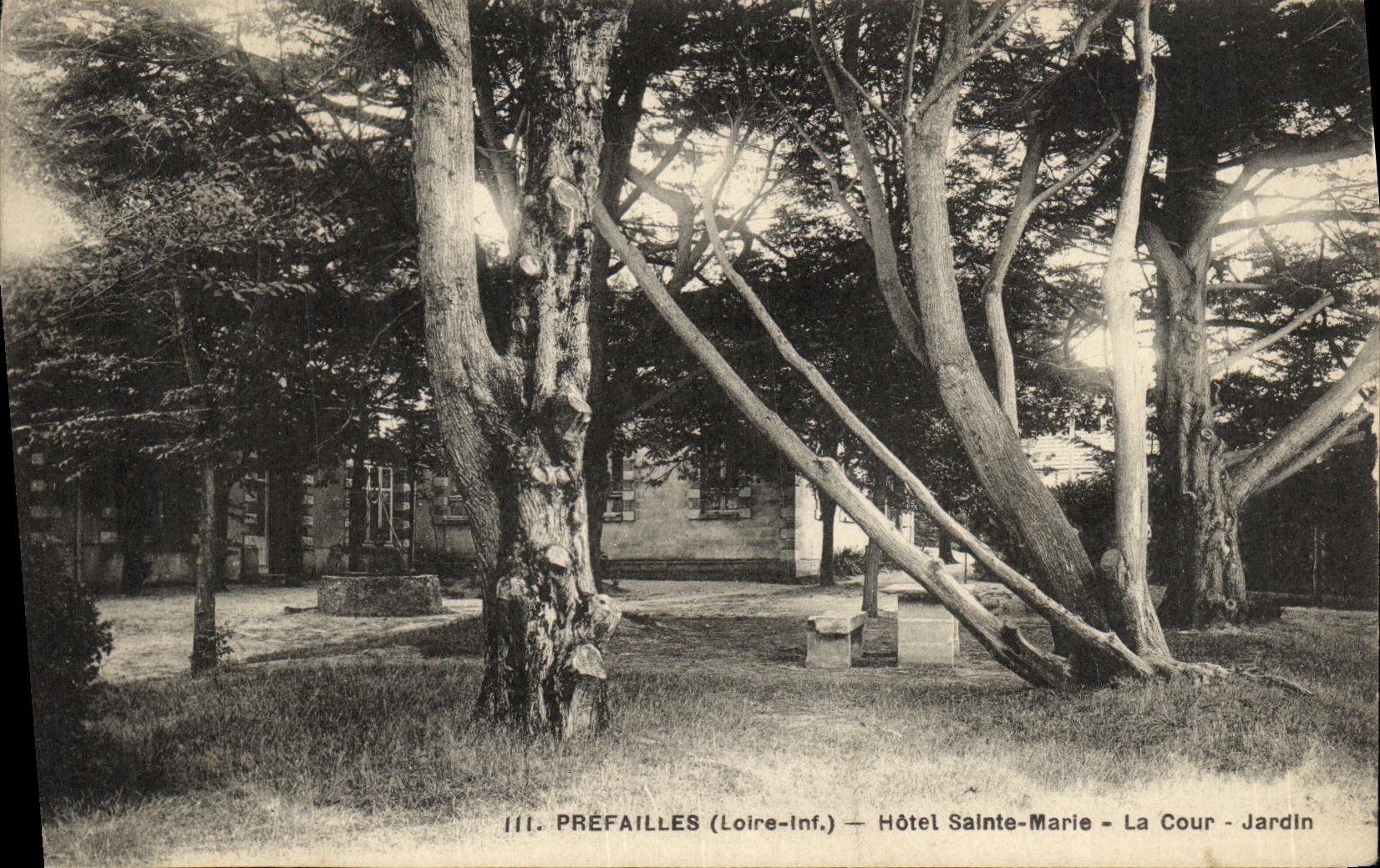 CPA Prefailles Hotel Sainte Marie La Cour Jardin