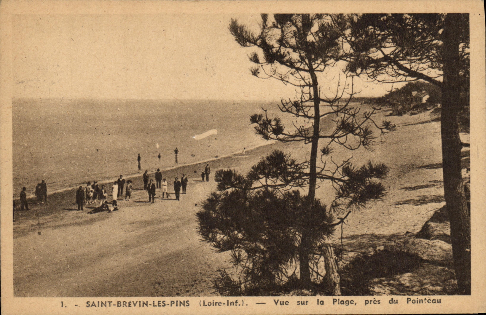 CPA Saint Brevin Les Pins vue sur la Plage Pres du Pointeau