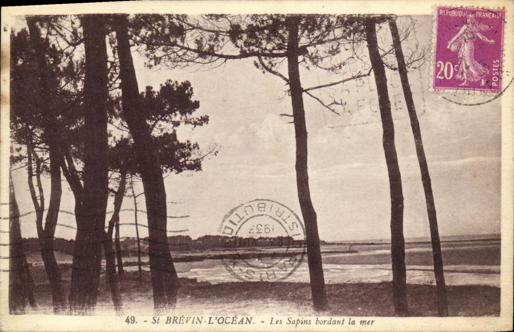 CPA Saint Brevin L Ocean Les Sapins Bordant la Mer