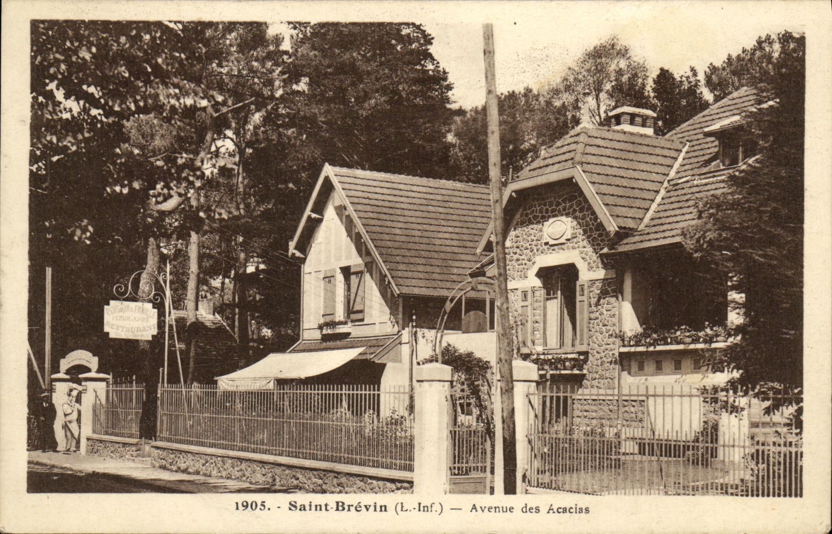 CPA Saint Brevin Avenue des Acacias