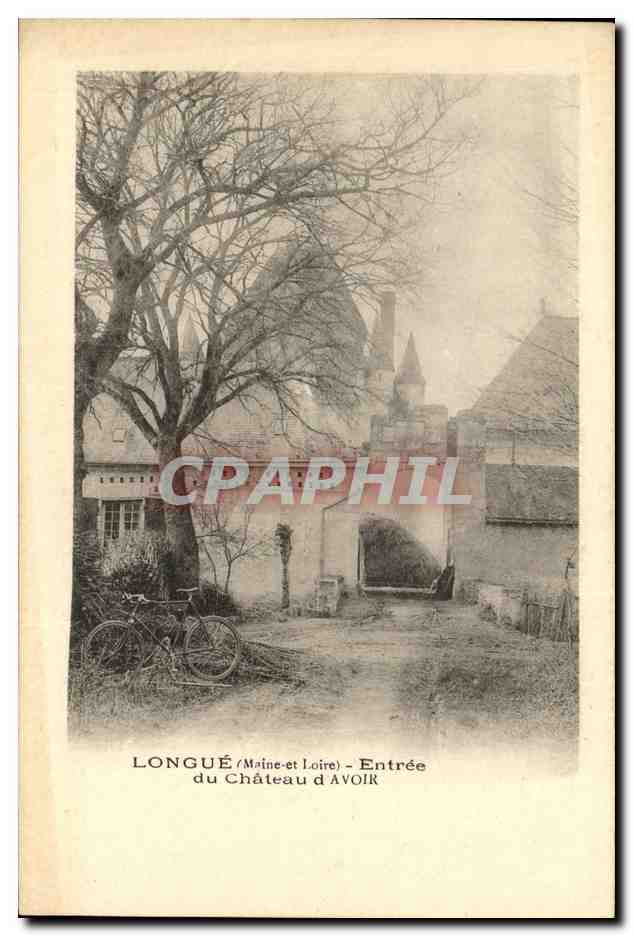CPA Longue Entree du chateau d Avoir 
