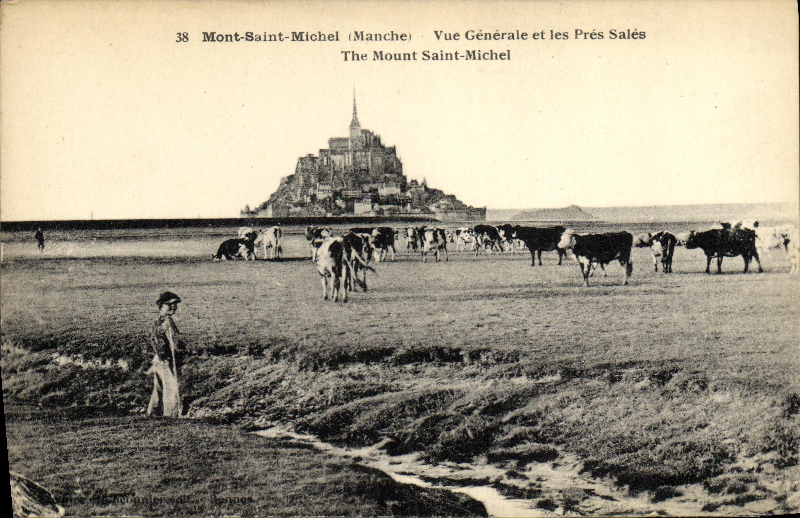 CPA Mont Saint Michel Vue Generale et les Pres Sales Berger Vaches