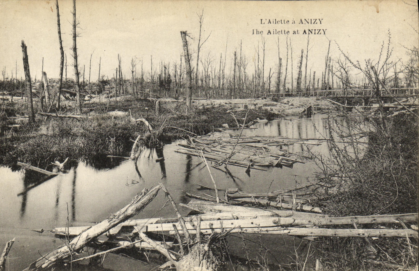 L'Ailette à Anizy — vue de la forêt dévastée — B. Nougardel et H. Leirat, Suresnes
