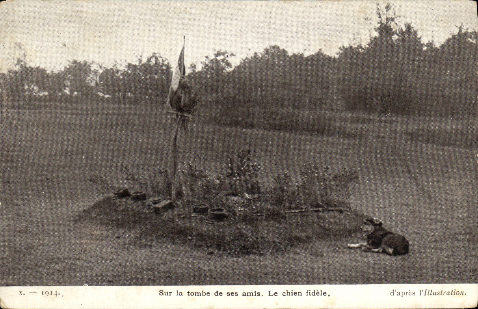 Perro fiel — sobre la tumba de sus amigos — de 'L'Illustration', serie X — 1914