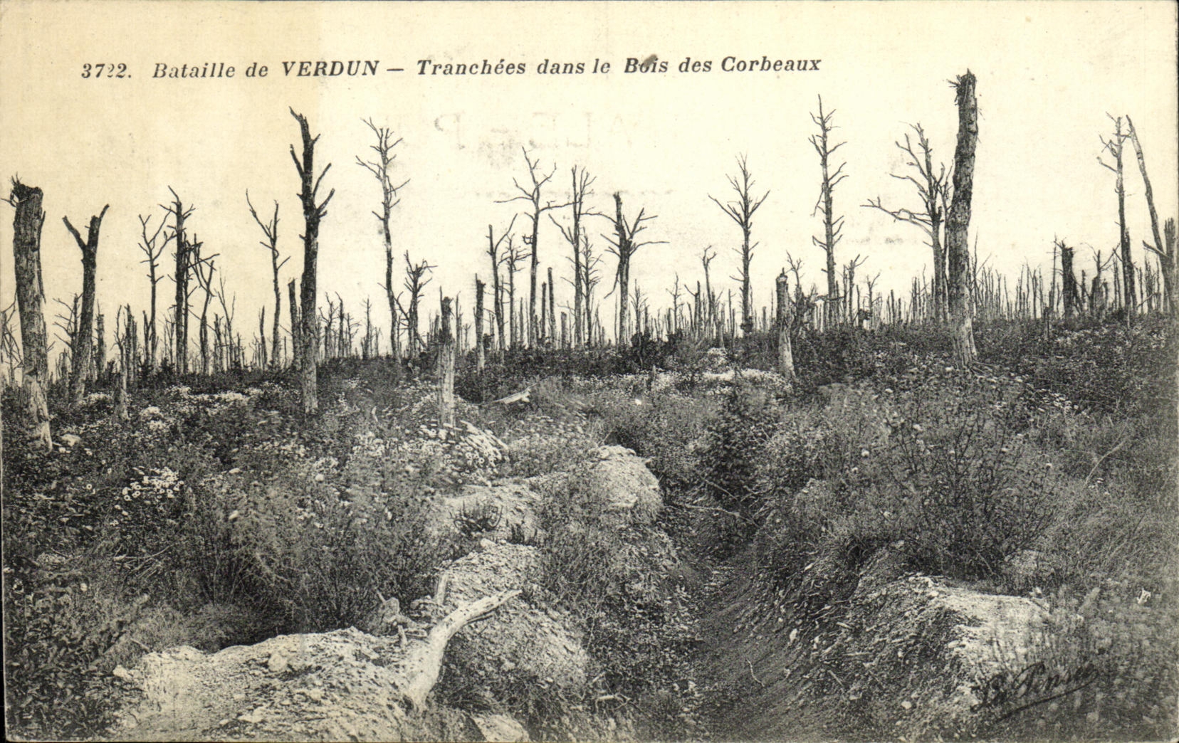 Bataille de VERDUN — Tranchées dans le Bois des Corbeaux — Éditeur L. Pons, n° 3722