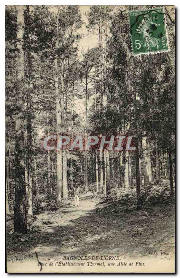 Bagnoles-de-l'Orne — Parco dell'istituto termale, un viale di pini — N.D. Fot.